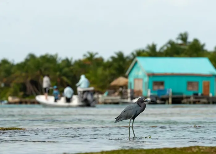 Tranquility Bay